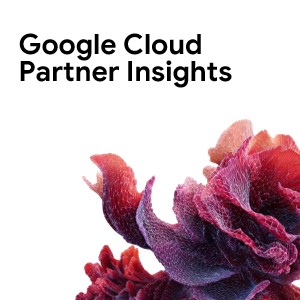 Google Cloud Partner Insights